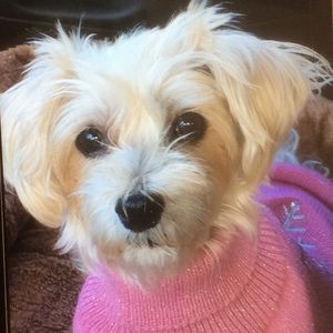 Meet your Posher, Nancy